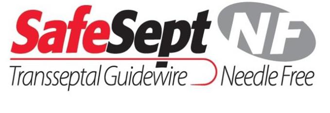 SAFESEPT TRANSSEPTAL GUIDEWIRE NF NEEDLE FREE