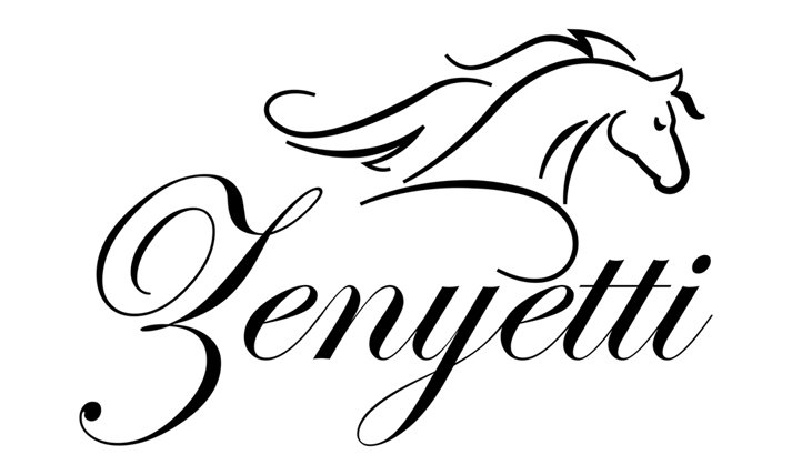 ZENYETTI