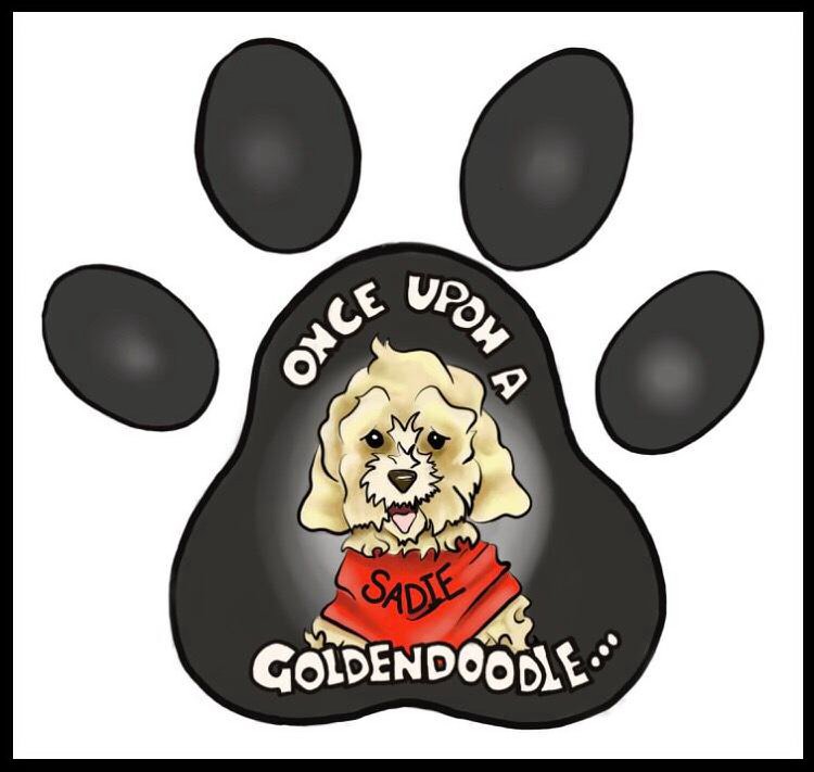 ONCE UPON A GOLDENDOODLE... SADIE