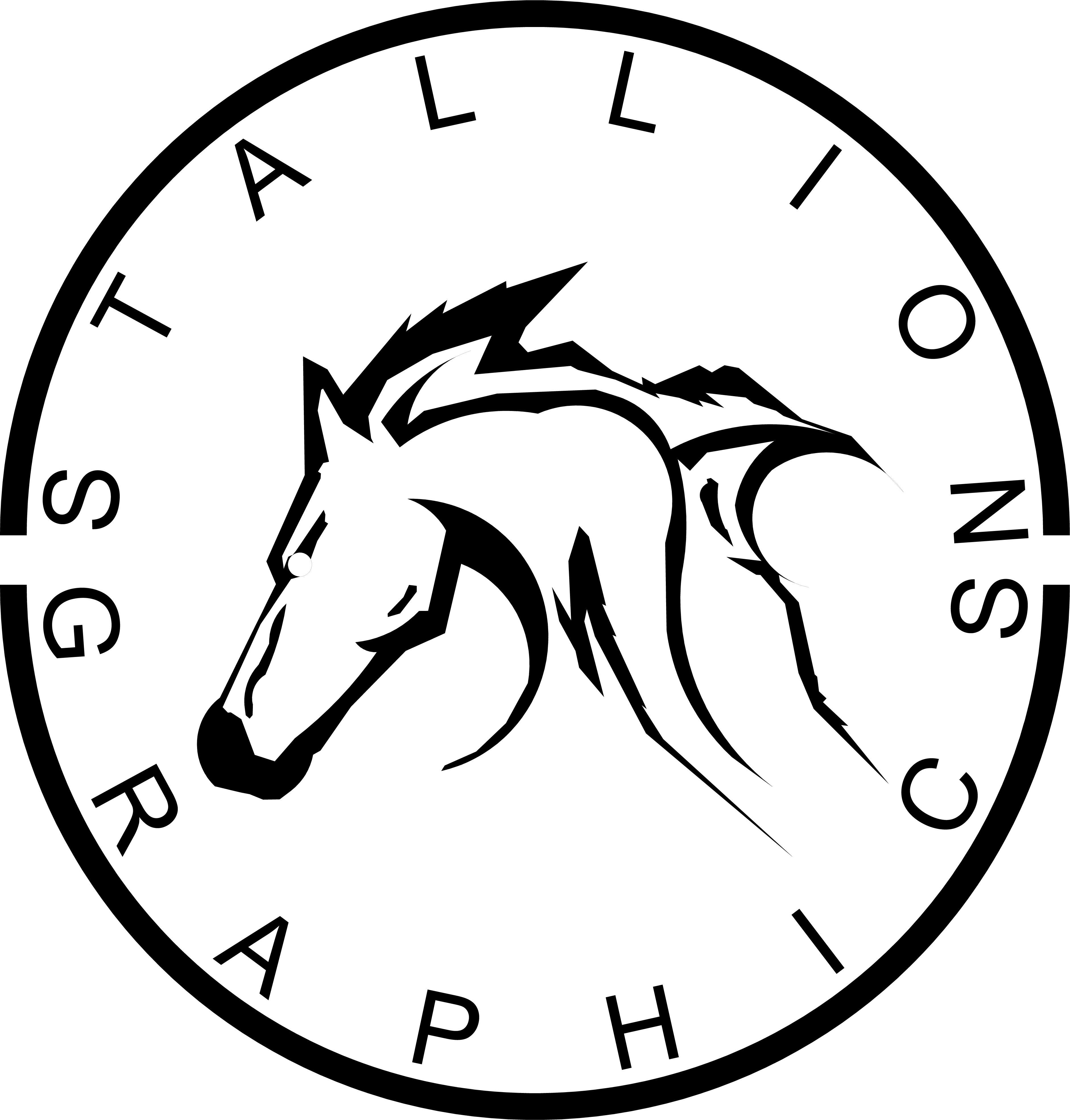 STALLION GRAPHICS