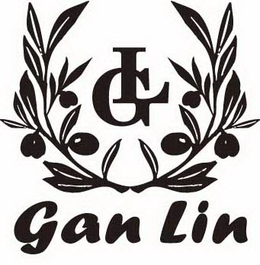GL GAN LIN