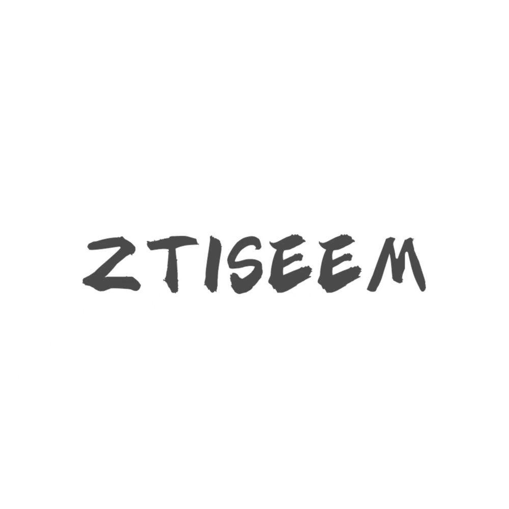 ZTISEEM