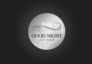 GOOD NIGHT WET HAIR